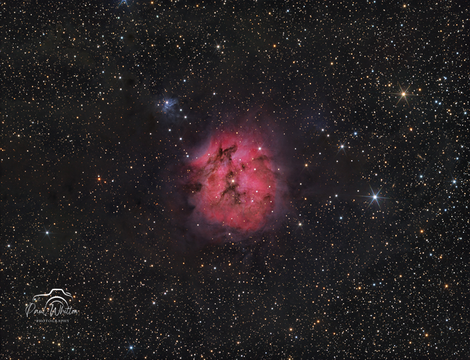 IC_5146_Cocoon
